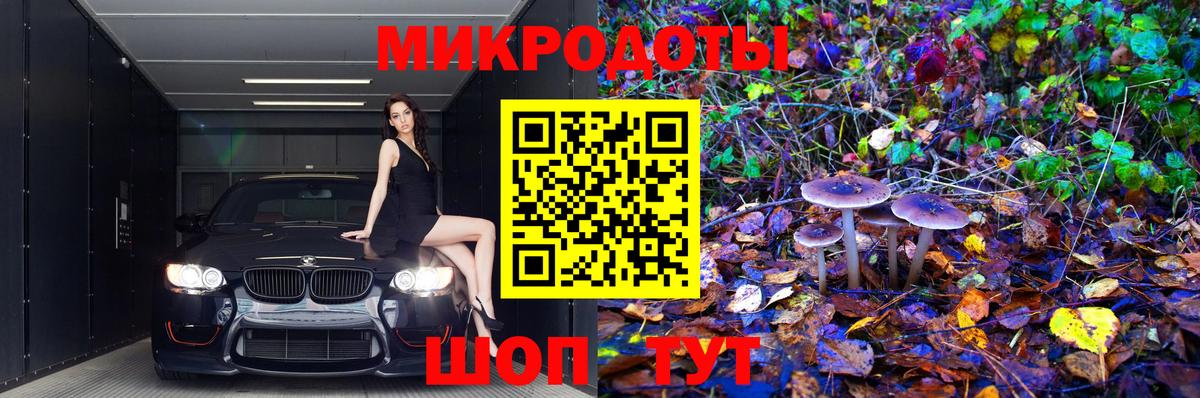 Псилоцибиновые грибы Cubensis Курчатов